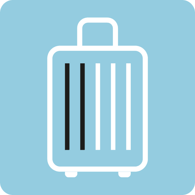 An image that shows the activity for /services/luggage_storage